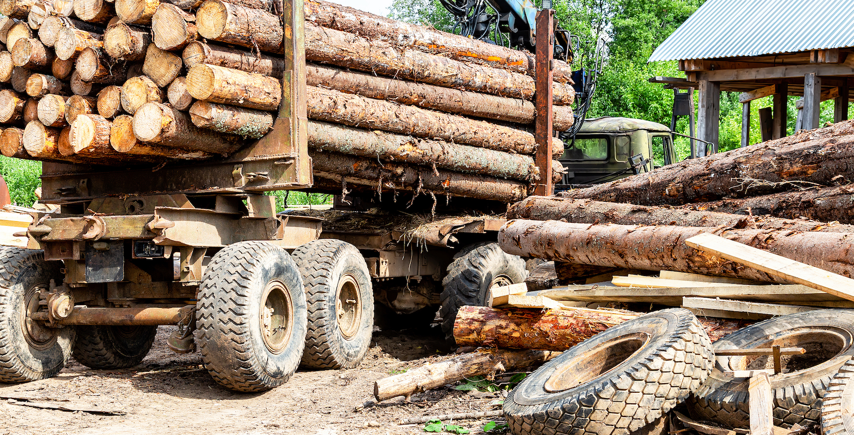 Why Your Logging Industry Clients Need Workers’ Compensation Coverage