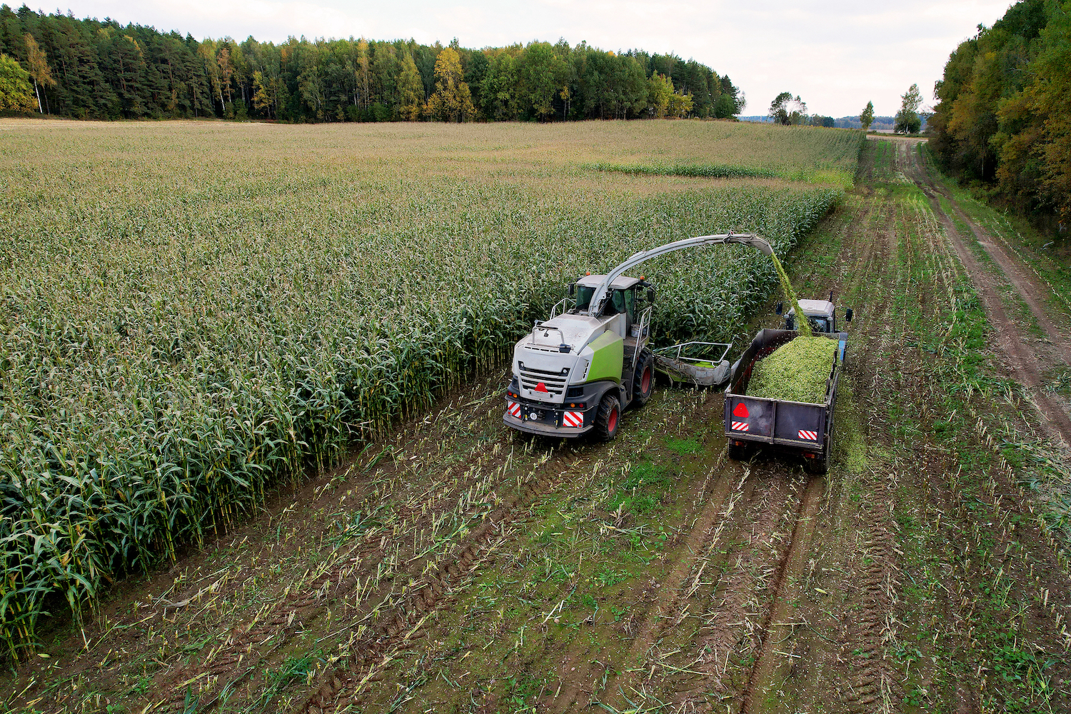 Agriculture Industry – Machinery Accidents in Corn Farming