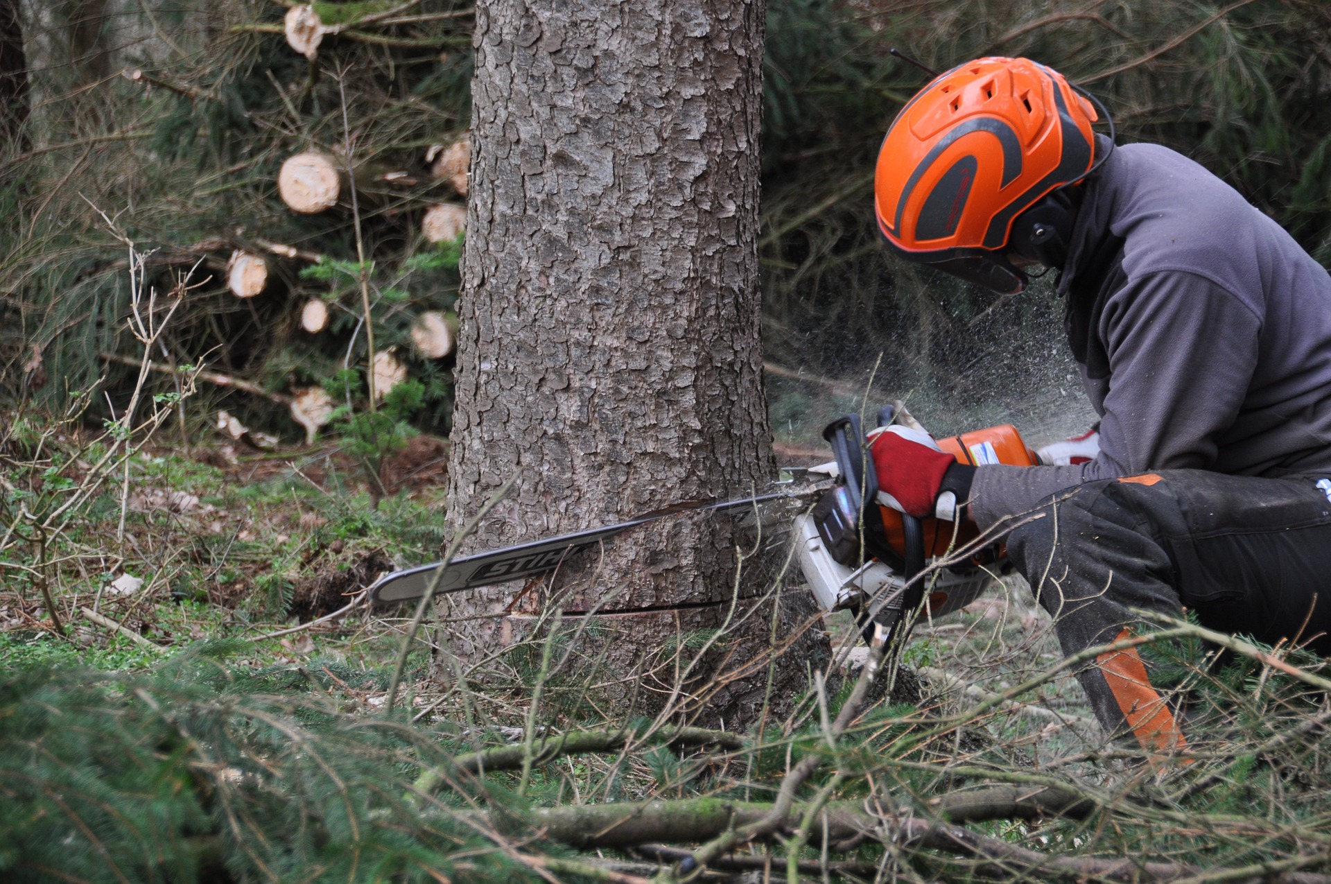 How Workers’ Compensation Helps Your Tree Trimming Clients with Laceration Risks